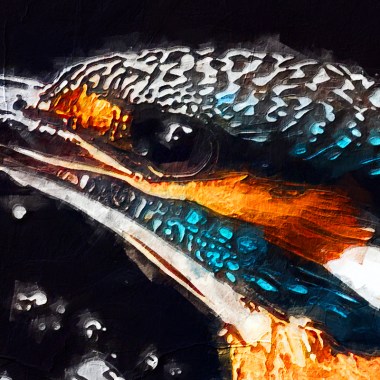 Kingfisher schilderij